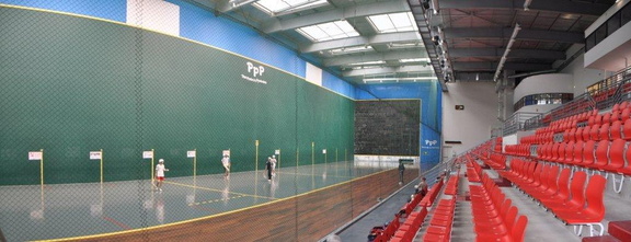 1ComplexePau- 3poussins jai alai pau