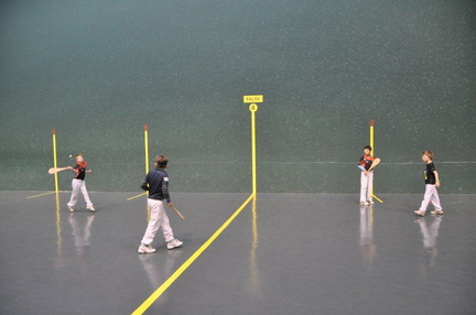 Rassemblement Poussins et Mini-Poussins Ligue 29