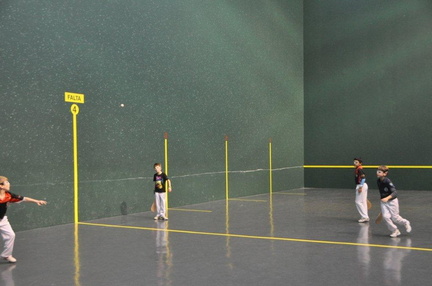 Rassemblement Poussins et Mini-Poussins Ligue 30