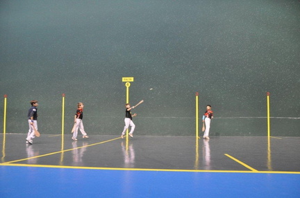 Rassemblement Poussins et Mini-Poussins Ligue 35