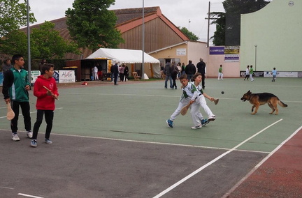 POUSSINADES 2015 030