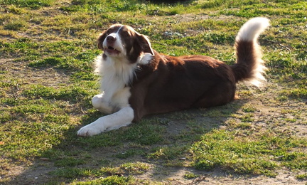 Finale CD47 Place Libre 2016-18