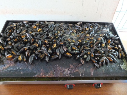 Barbecue et Plancha-7