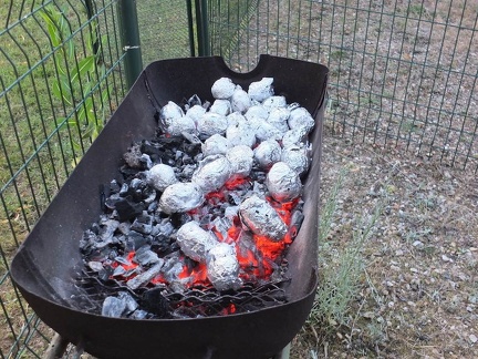 Barbecue et Plancha-8