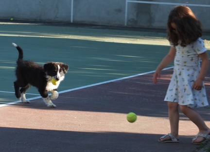 Entrainement Barbecue-18