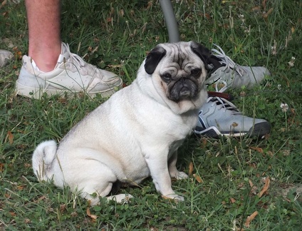 Tournoi du Déconfinement-07